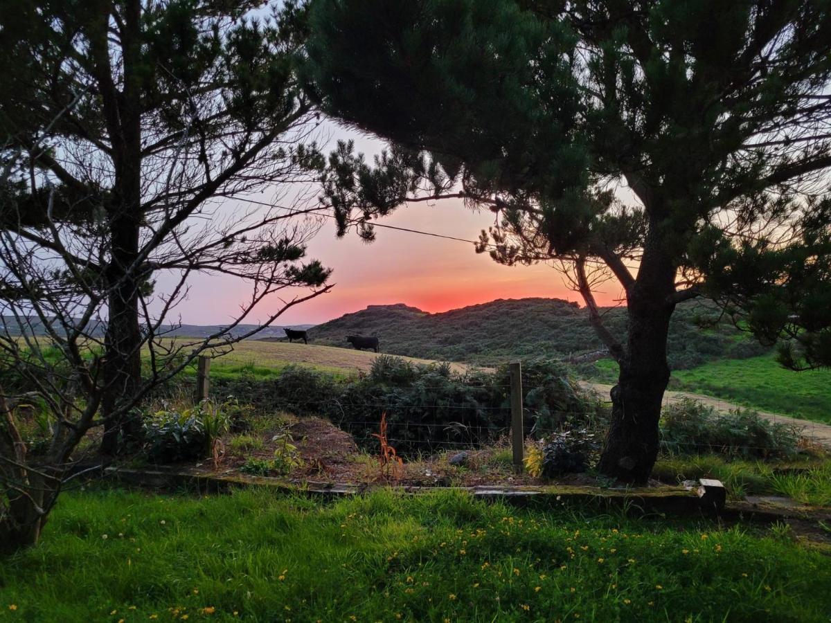 Bruion Connemara Daire Cleggan Dış mekan fotoğraf